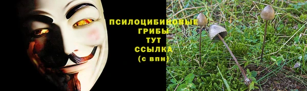 синтетический гашиш Белокуриха